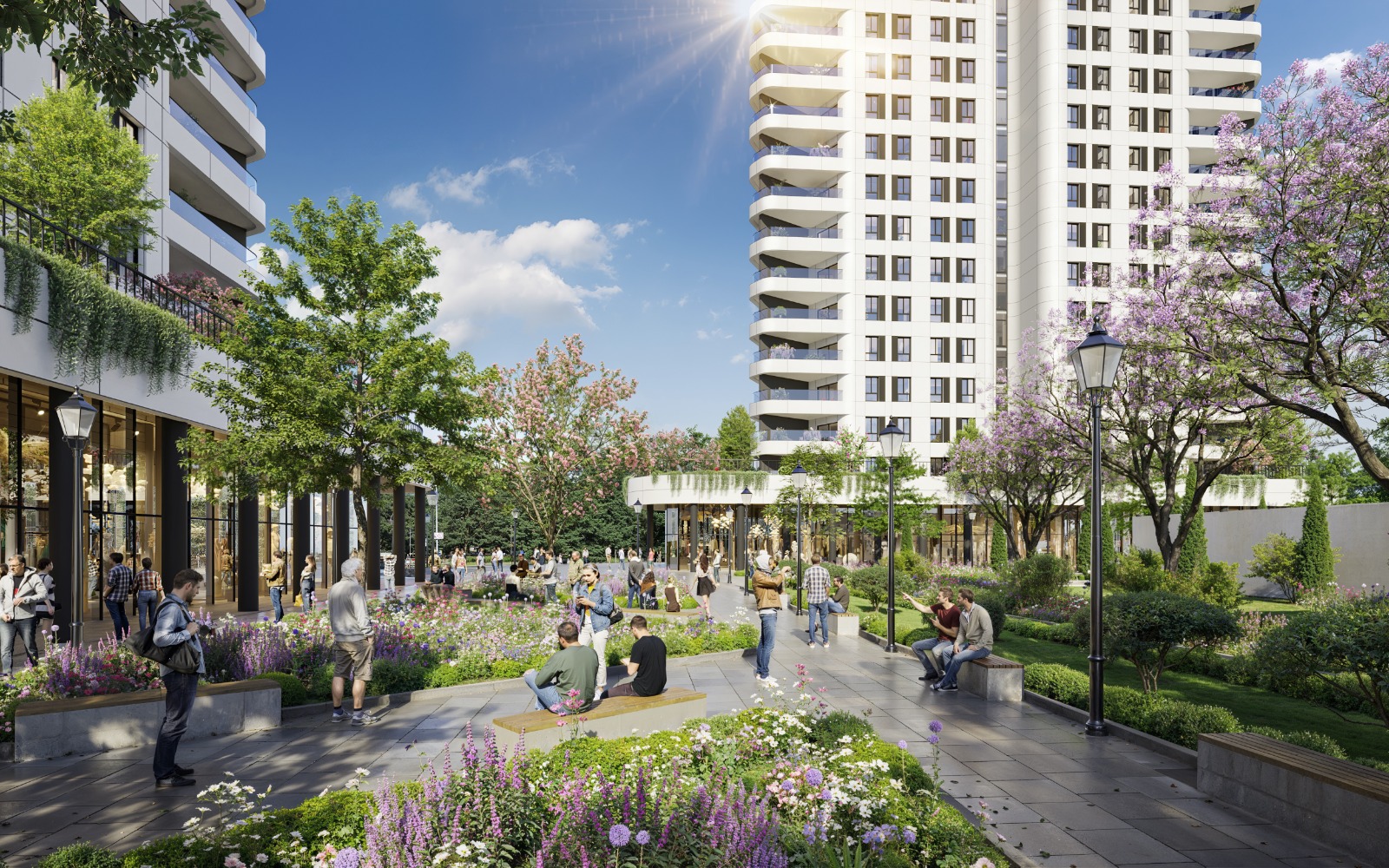 שד' הדקל בית שמש